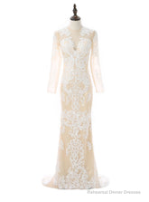 Formal Celebrity Dresses Mermaid Deep V-neck Long Sleeves Slit Sexy Long Evening Dresses